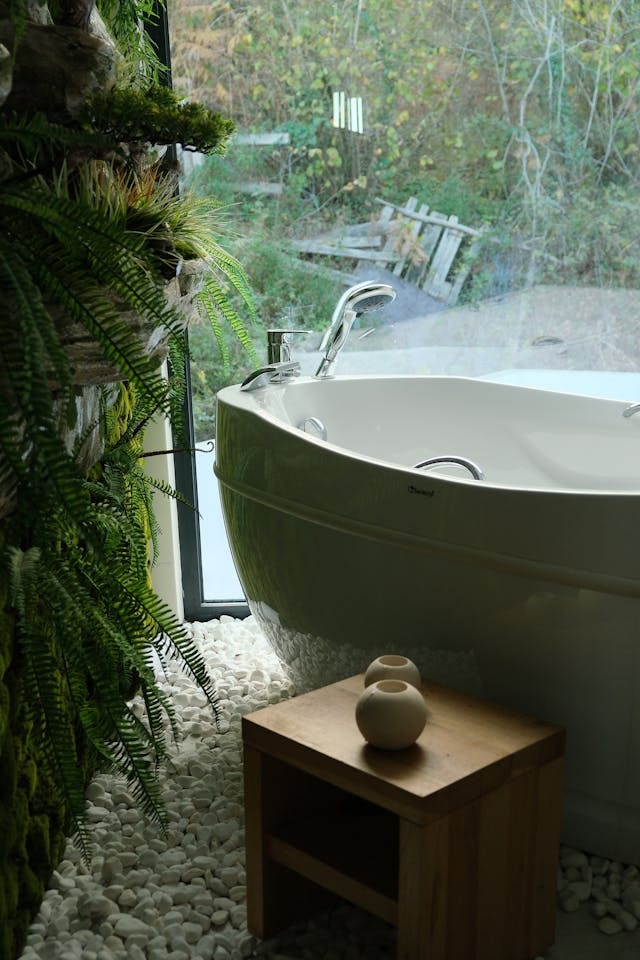 Cele Mai Bune Plante Baie Fara Geam - Feriga